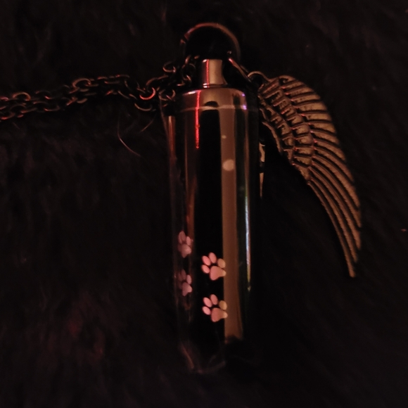NEW PET Paw Cylinder with Angel Wing Charm Necklaces Pendant Cremation Jewelry - Picture 2 of 6